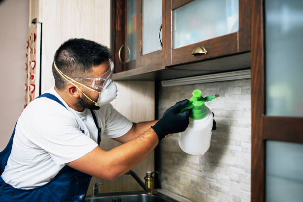 Best Commercial Pest Control Services  in Cramerton, NC