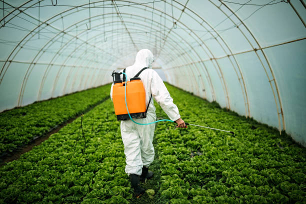 Best Pest Inspection Near Me  in Cramerton, NC