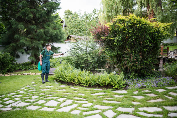 Best Affordable Pest Control Services  in Cramerton, NC