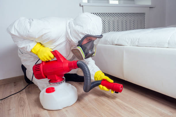 Best Local Pest Control Services  in Cramerton, NC