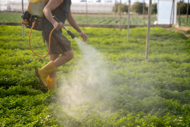 Best Affordable Pest Control Services  in Cramerton, NC