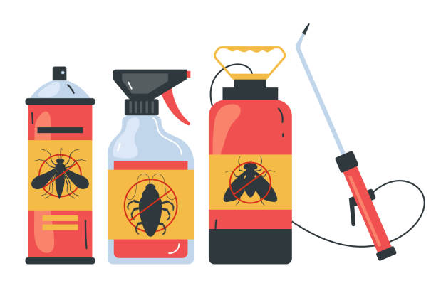 Best Spider Control Near Me  in Cramerton, NC