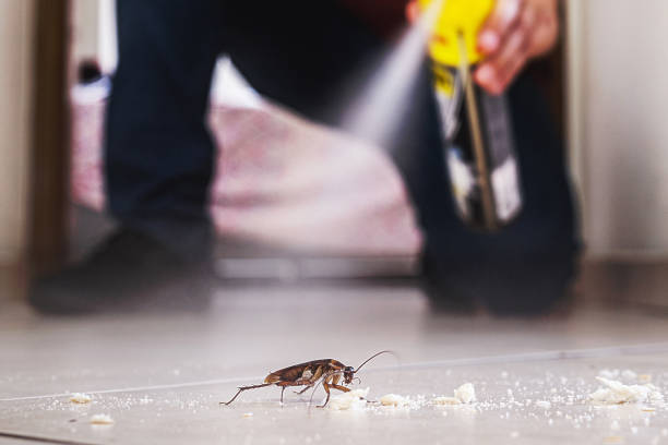Best Flea Control Services  in Cramerton, NC